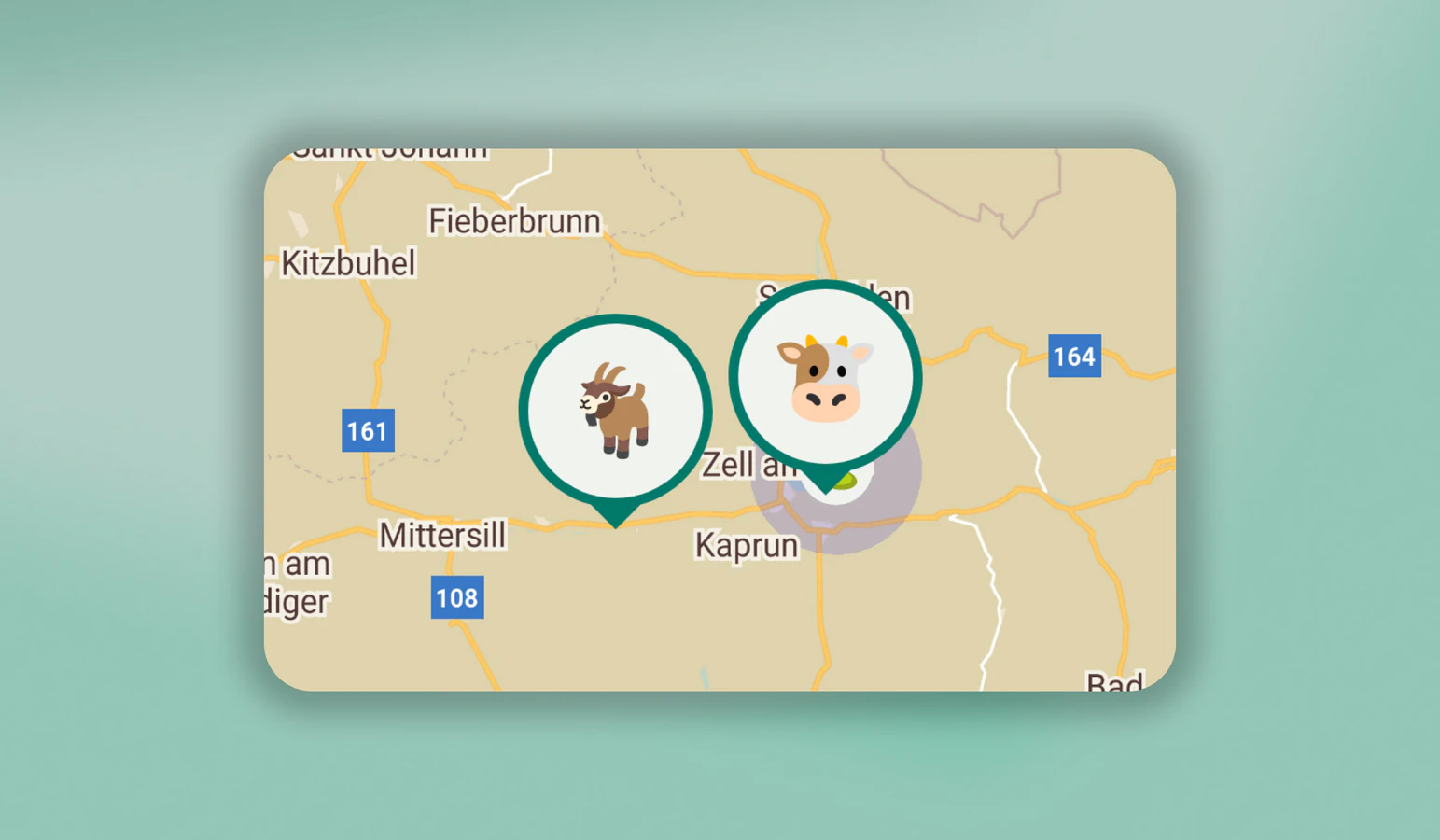 So teilst du deinen Standort richtig